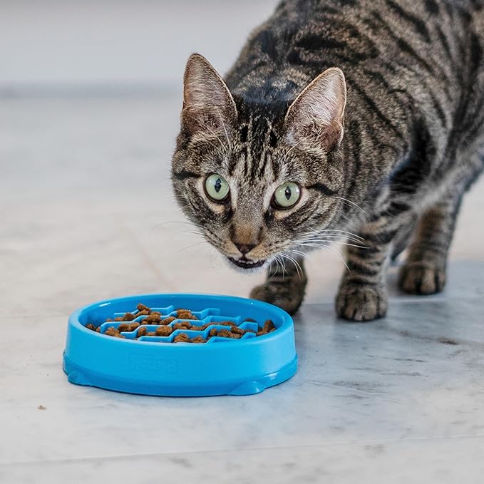 Catstages Kitty Slow Feeder Cat Bowl, Blue (Pack of 2)