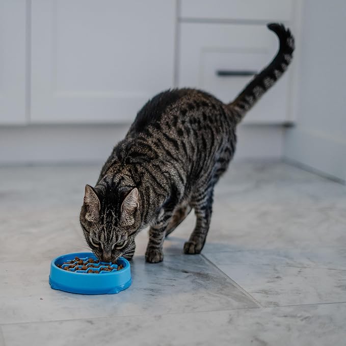 Catstages Kitty Slow Feeder Cat Bowl, Blue (Pack of 2)