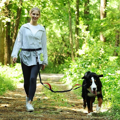 VIVAGLORY Hands Free Dog Leash Bungeetwin Running Dog Leash with Waist Belt for Running Walking & Jogging, Bungee & Around Waist for Pet, M, Black/Orange