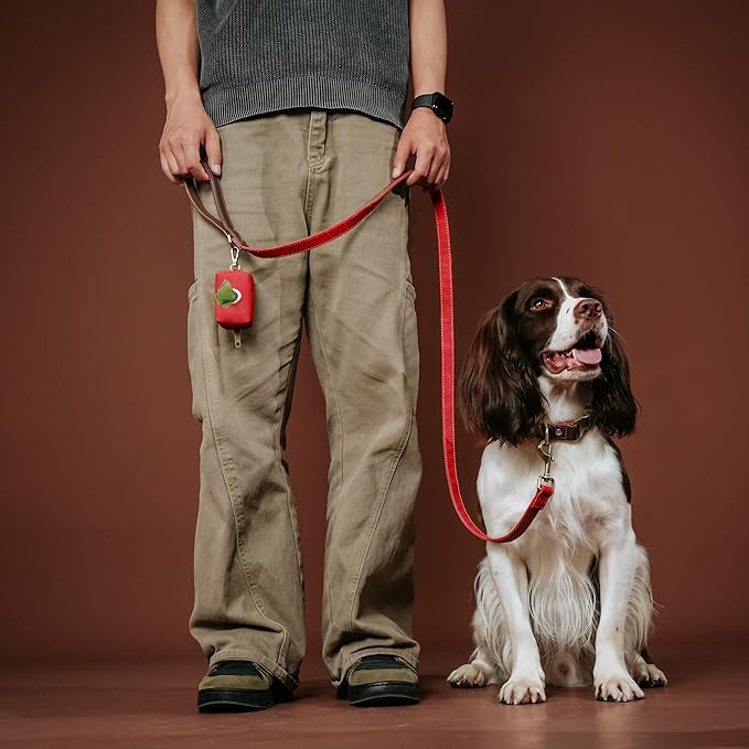 Didog Classic Dog Poop Bag Holder, Easy-Pull and Elegant PU Leather Pet Waste Bag Dispenser for Leash with Carabiner Clip, Includes 1 Roll Dog Waste Bag for Daily Walking,Red