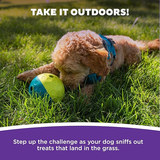 Outward Hound by Nina Ottosson Treat Tumble – Interactive Food-Dispensing Dog Puzzle Ball, Level 1 Beginner, Small, 4.8"