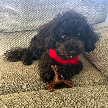 SPOT Bam-Bones Plus Triple Chew Dog Toy, Durable Bamboo Fiber & Nylon, for Aggressive Chewers, Adult Dogs & Teething Puppies Under 30lbs, 4in, Bison Flavor