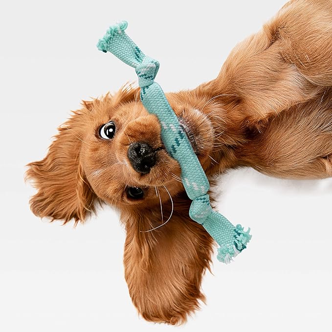 rocket & rex Dog Toy Set for Small to Medium Breeds, Includes Rope Toys with Rubber and Crackle Inside for Extra Chewing Fun and a Stretchy Tug of War Toy (Pack of 3)