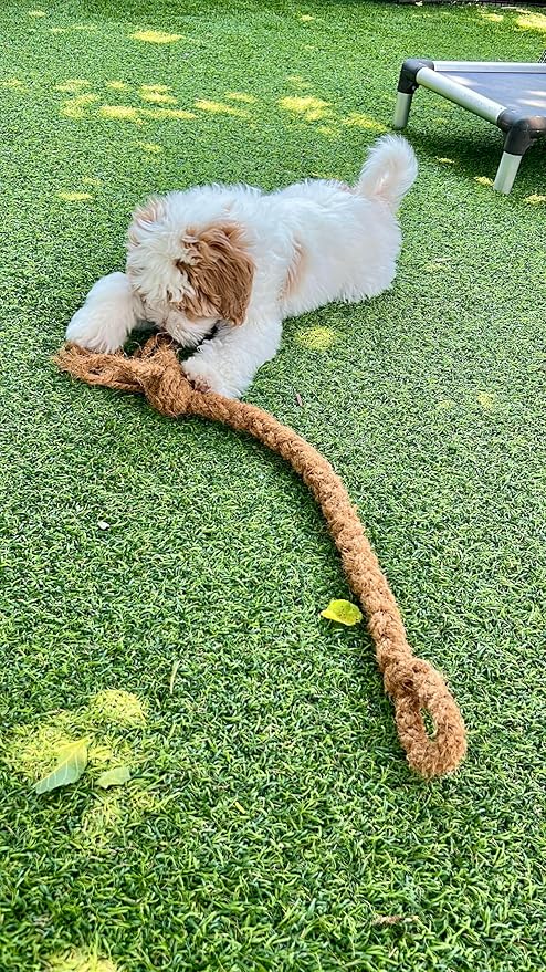 Freya & Dax LLC Natural Coconut Husk Rope Dog Toy – Eco-Friendly Chew & Tug Toy for All Breeds – Plastic-Free, Compostable, Gently Textured for Interactive Play.