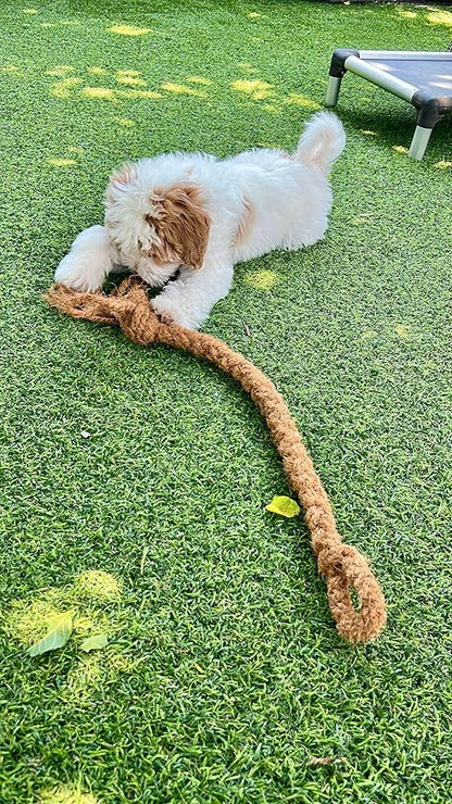 Freya & Dax LLC Natural Coconut Husk Rope Dog Toy – Eco-Friendly Chew & Tug Toy for All Breeds – Plastic-Free, Compostable, Gently Textured for Interactive Play.