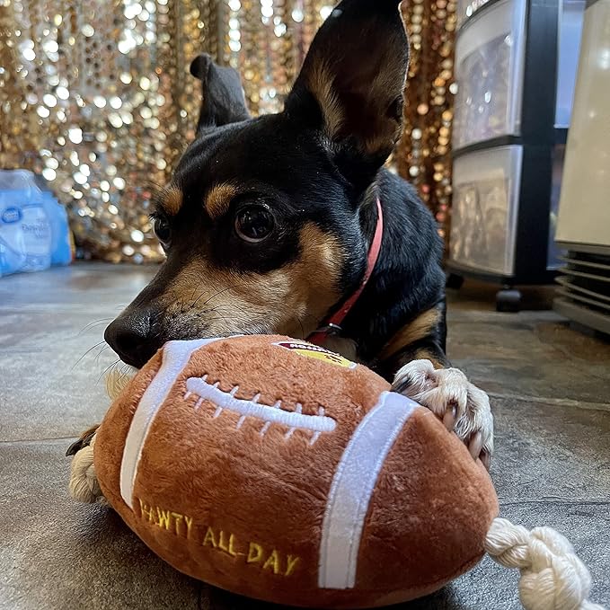 CHEWFFON Durable Dog Football Toy with Rope - Interactive Tug Toy for Small, Medium & Large Dogs - Outdoor Fetch Ball & Teething Puppy Toy