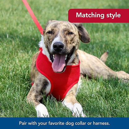 Coastal Pet Single-Ply Dog Leash - Sturdy Pet Leash - Comfortable & Stylish - Resists Fraying - Vibrant & Fade-Resistant Color - Red, 5/8" x 6'