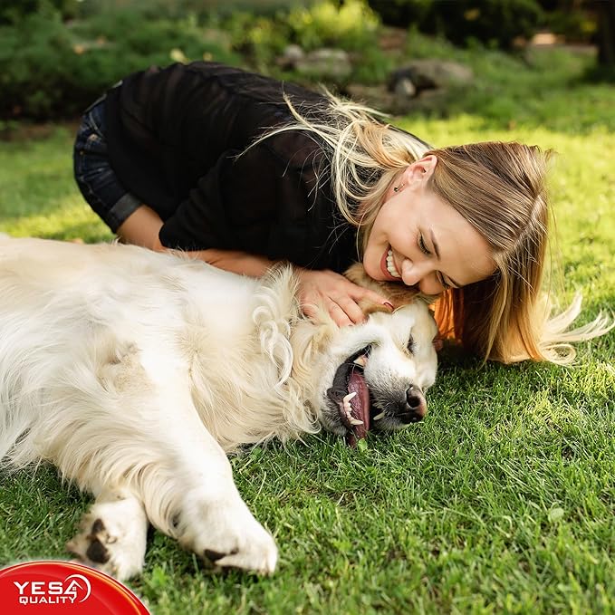 YES4QUALITY Dog Chew Toy - Durable Chew Bone for Medium and Large Dogs - 13", Red - Tough Rubber Tug of War Bone Pet Toy for Aggressive Chewers - Bumpy Design for Puppy Teething