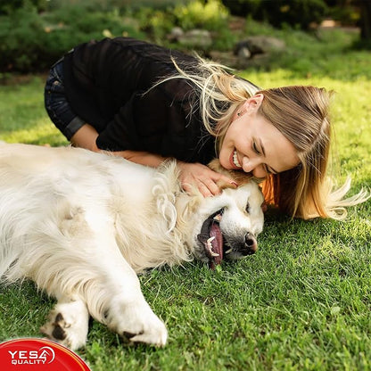 YES4QUALITY Dog Chew Toy - Durable Chew Bone for Medium and Large Dogs - 13", Red - Tough Rubber Tug of War Bone Pet Toy for Aggressive Chewers - Bumpy Design for Puppy Teething