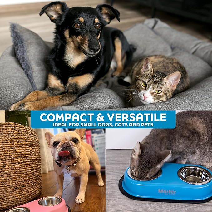 Master Pet Supply Double Dog Bowls Set with Elevated Base and 2 (8 oz) Stainless Steel Removable Dishes (Graphite) – Double Cat Food Water Bowl, Dog Puppy Food Bowl Set, Rust Resistant