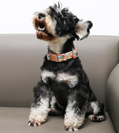 Unique style paws Dog Collar Metal Buckle Orange Collar Gift Durable Cute Collar for Small Medium Large Boys Girls Dogs