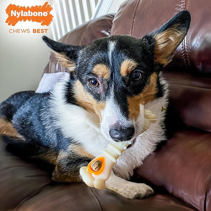 Nylabone Knuckle Bone Pop-in Treat Toy Power Chew Toy with 30 Refills, Interactive Treat Dispensing Enrichment Toys for Dogs, Long Lasting Chicken Flavor, Medium Dogs - Up to 35 lbs, 2 Pack
