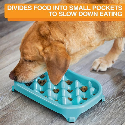 Neater Pet Brands Neater Slow Feeder Dog Bowls, Slows Down Fast Eaters to Help Digestion & Prevent Overeating, Non-Slip Food Bowl, BPA-Free, Holds 2.5 Cup of Food for Small to Medium Breed or Puppy