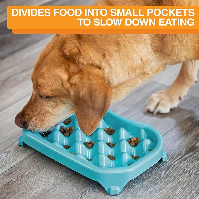 Neater Pet Brands Neater Slow Feeder Dog Bowls, Slows Down Fast Eaters to Help Digestion & Prevent Overeating, Non-Slip Dog Bowl, BPA-Free, Holds 6 Cups of Food for Medium to Large Breed Dogs or Puppy