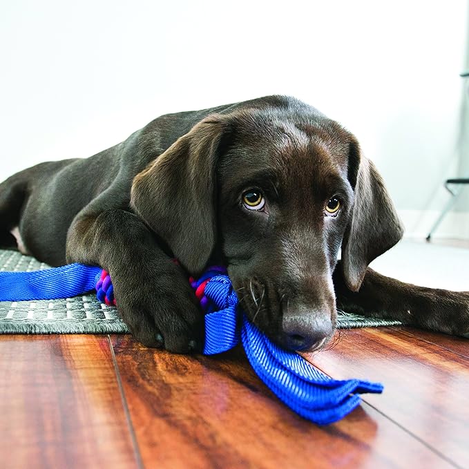 KONG Tugga Wubba Dog Toy, Large (Colors vary)