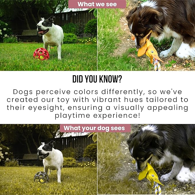 Flirt Pole for Dogs Heavy Duty - Multi-Sensory Tough Chase Toy for Medium & Large Breeds – Extra Strong 35" Dog Teaser Wand for Backyard Play, Training and Interactive Fun (Duck)