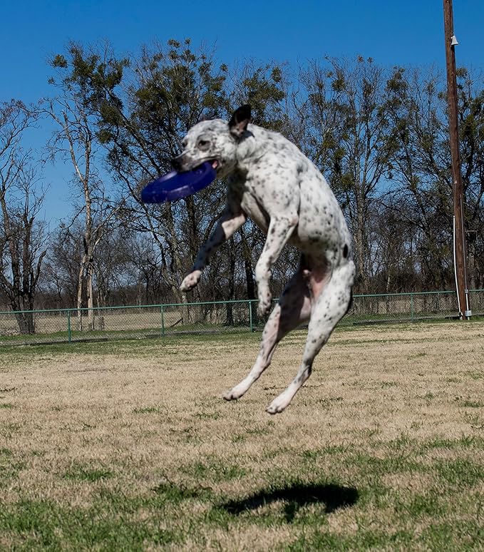 Starmark Easy Glide DuraFoam Flying Disc Dog Toy, Color Varies 9"