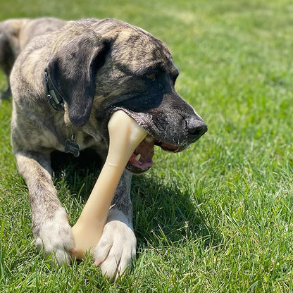 Nylabone Big Chew Knuckle Bone Power Chew Toy for Large Dogs, Durable Dog Toys for Aggressive Chewers, Destroy Proof Chew Toys To Keep Them Busy, Chicken Flavor, XX-Large, 50++ lbs, 1 Count
