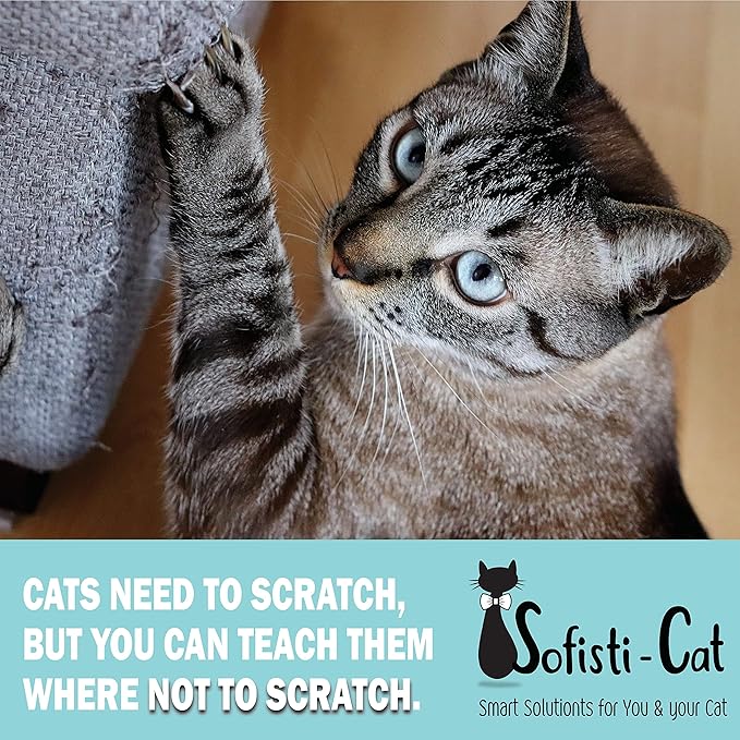 Sofisti - Cat Scratch Deterrent Tape for Furniture – 10 Double Sided Anti Scratching Sticky Tape - Cat Scratch Furniture Protector – Cat Training Tape Teaches Your Kitty Not to Scratch Your Couch