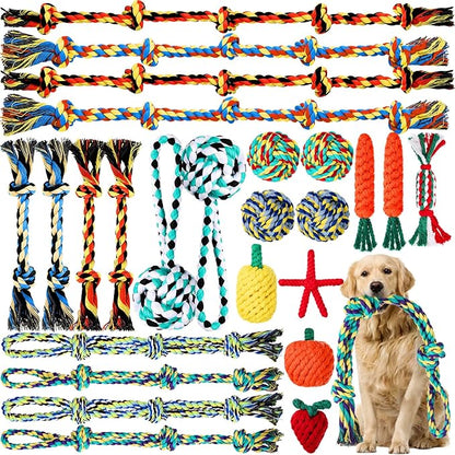 25 Pack Dog Rope Toys for Aggressive Chewers, Heavy Duty Teething Chew and Tug Toy Set for Medium and Large Dogs, Puppy Toys with Fun Fruit & Cartoon Shapes