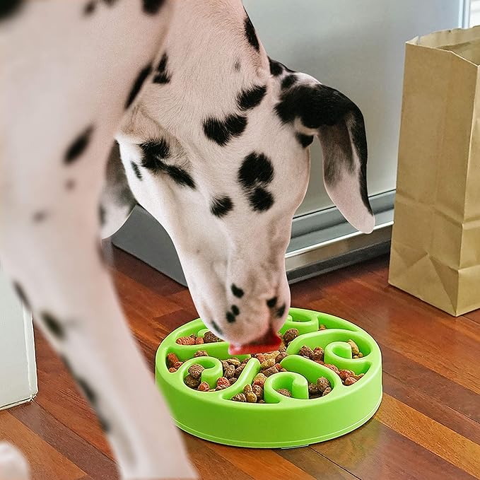 Slow Feeder Dog Bowl Anti-Choking Help Prevent Bloat Non Toxic BPA Free Feeding Dish SH-10303, Green