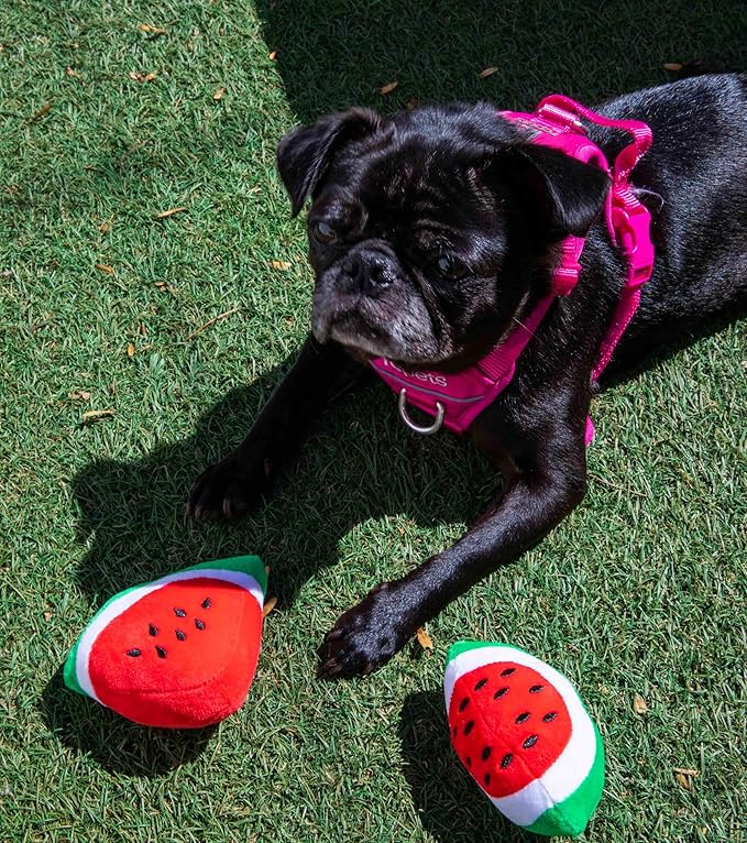Glow Pups Dog Toy Watermelon 2-Pack for Small Dogs, Plush Squeaky Dog Toys for Small Dogs, Fun Cute Design, Promotes Mental Stimulation, Keeps Puppy Entertained, Playful Peach