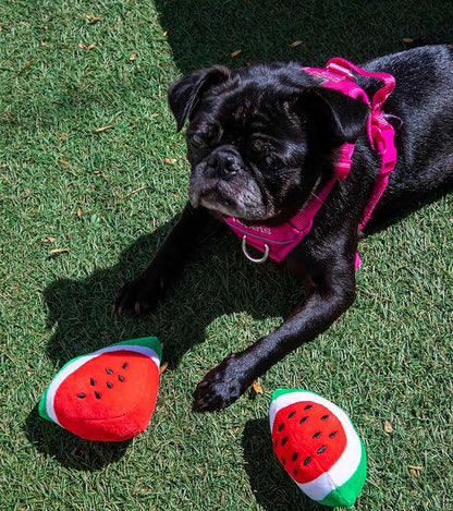 Glow Pups Dog Toy Watermelon 2-Pack for Small Dogs, Plush Squeaky Dog Toys for Small Dogs, Fun Cute Design, Promotes Mental Stimulation, Keeps Puppy Entertained, Playful Peach