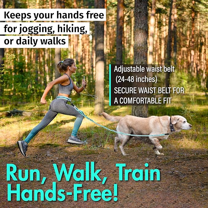Hands Free Dog Leash with Waist Belt Lifetime Replacement, Dual Handle Bungee Leash for Running, Jogging, Hiking and Walking, for Medium and Large Dogs 5118