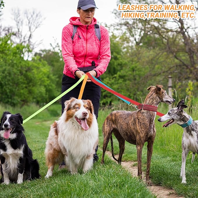 12 Pcs Dog Leashes for Small Medium Large Dogs, 4FT Lead Short Dog Leash with Swivel Hook for Walking, Training, Hiking, Rescues, Grooming, Shelter, Outdoor