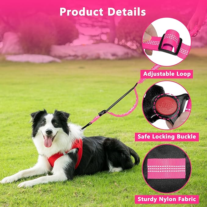 Hands Free Dog Leash with Zipper Pouch, Running Waist Leash for Dog Walking, Adjustable Waist Belt for Large Dogs, Reflective Bungee Design with Two Handle for Hiking, Training, Hot Pink