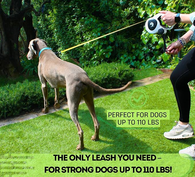 Snuggle Paws Retractable Dog Leash 16ft – Heavy Duty All-in-One Dog Leash with LED Flashlight, Poop Bag Holder, Chew Proof Steel Cable & Reflective Tape – Size L