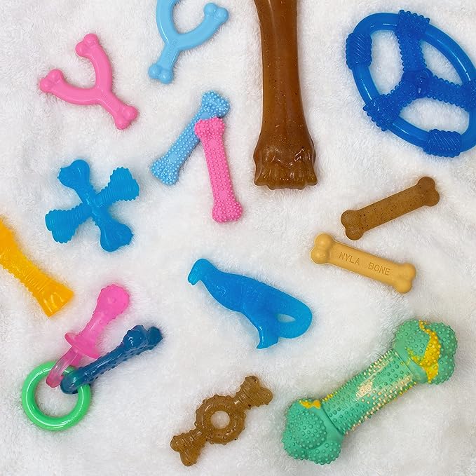 Nylabone Ring Bone Chew Toy for Puppies, Puppy Teething Toys, Puppy Enrichment Toys, Chicken Flavor, X-Small Dogs - Up to 15 lbs, 1 Count (Pack of 2)
