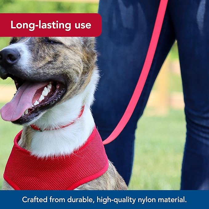 Coastal Pet Single-Ply Dog Leash - Sturdy Pet Leash - Comfortable & Stylish - Resists Fraying - Vibrant & Fade-Resistant Color - Neon Pink, 3/8" x 6'