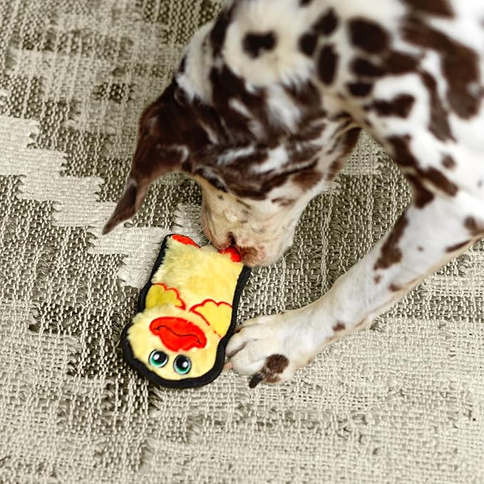 Outward Hound Durablez Minis Stuffing-Free Squeaky Interactive Dog Toy, Tough Plush, Duck, Yellow, XS (Pack of 2)
