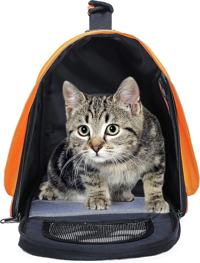 Pawer 18” x 11”x 11” Soft-Sided Foldable Airline Approved Pet Carrier for Cat, Puppy and Small Dog, Washable 600D Oxford Fabric, with Handle and Strap for Carry, Multiple Colors Available