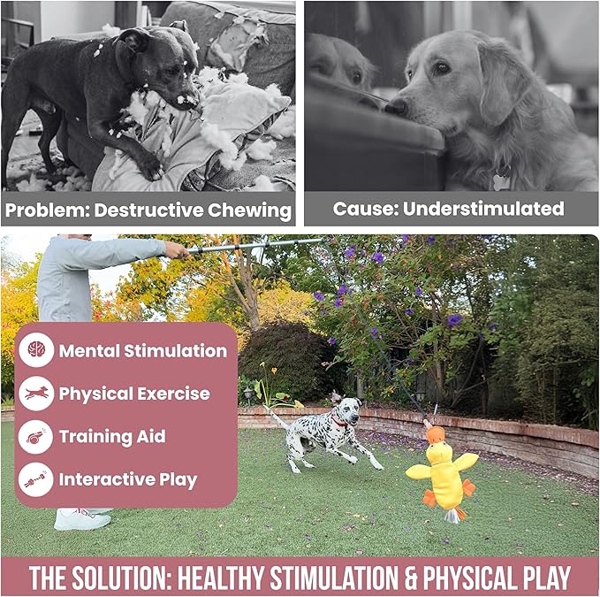 Flirt Pole for Dogs Heavy Duty - Multi-Sensory Tough Chase Toy for Medium & Large Breeds – Extra Strong 35" Dog Teaser Wand for Backyard Play, Training and Interactive Fun (Duck)
