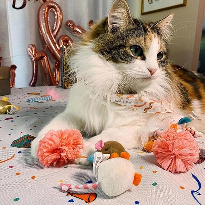 SmartyKat (16 Set Bundle) Birthday Bash Variety Pack Catnip Cat Toys - Multi Color, Set of 16