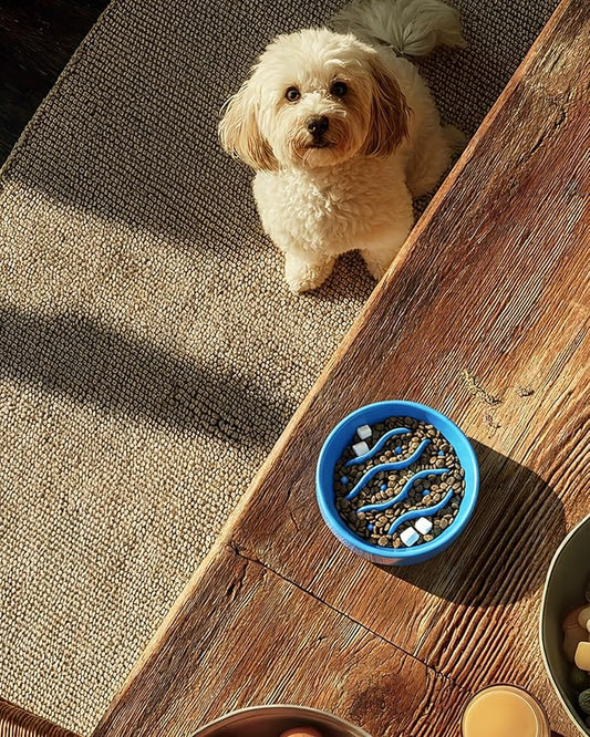Ceramic Slow Feeder Dog Bowls for Small Dogs, 0.6 Cup Dog Slow Feeder for Fast Eater, Puzzle Maze Bowl, 14oz, 6in, Baby Blue