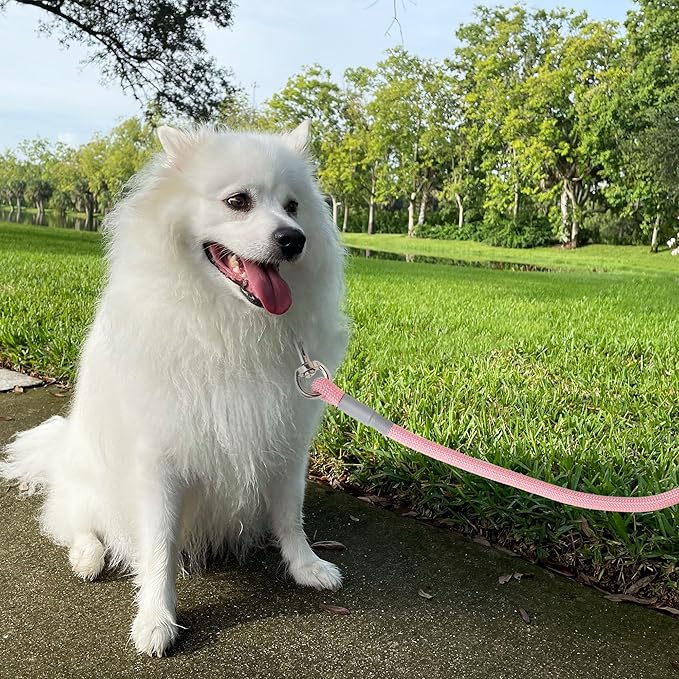 Mile High Life Dog Leash, with Comfortable Padded Handle, Pink Nylon Rope Leash with Steel Tips, Heavy Duty 4 Feet Pet Leashes (Pink,48 Inches)
