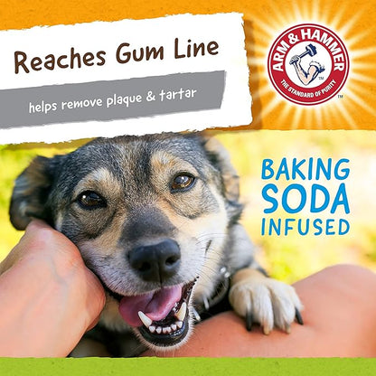 Arm & Hammer for Pets Nubbies Duality Bone Dental Dog Toy| Best Chew Toy for Moderate Chewers | Helps Reduce Plaque & Tartar | Green Apple Flavor Baking Soda (Pack of 2)