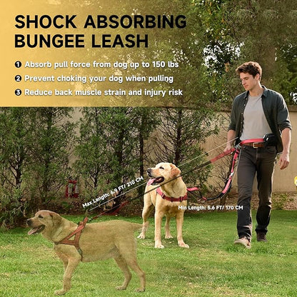 Hands Free Dog Leash with Zipper Pouch, Double Handle Running Reflective Bungee Waist Leash for Dog Walking, Training and Hiking for Small Medium Large Dogs (Red)