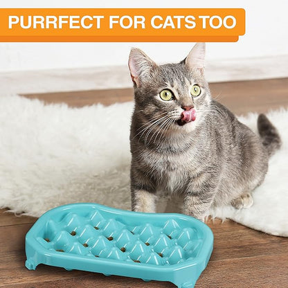 Neater Pet Brands Neater Slow Feeder Dog Bowls, Slows Down Fast Eaters to Help Digestion & Prevent Overeating, Non-Slip Food Bowl, BPA-Free, Holds 2.5 Cup of Food for Small to Medium Breed or Puppy