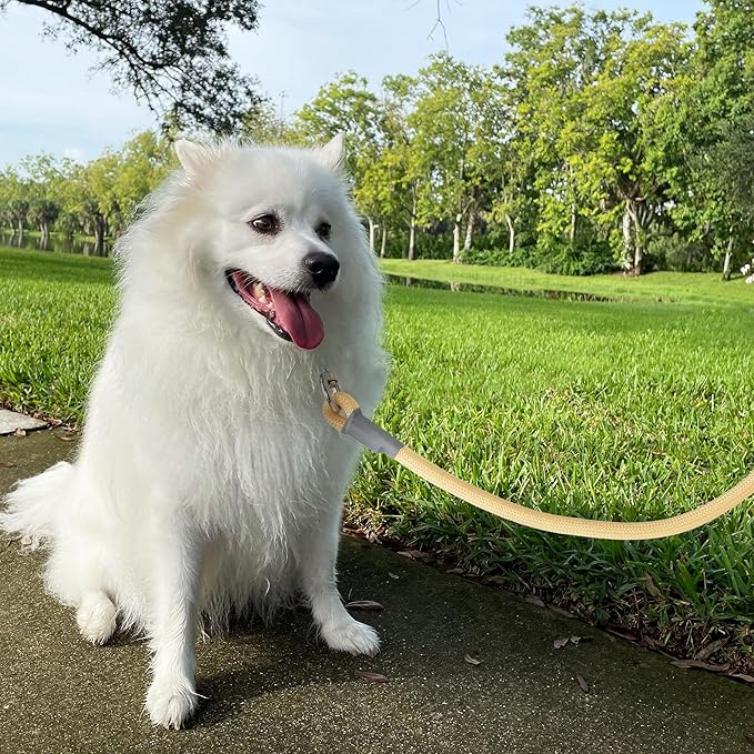 Mile High Life Dog Leash, with Comfortable Padded Handle, Cream Nylon Rope Leash with Steel Tips, Heavy Duty 5 Feet Pet Leashes (Cream,60 Inches)