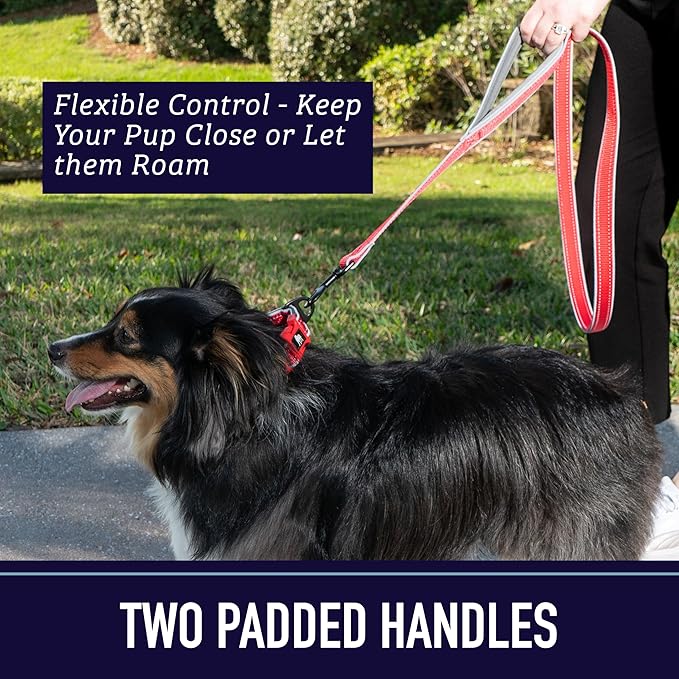 Leashboss Double Handle Dog Leash, 6 Ft Reflective Dog Leash with Two Padded Handles for Large Dogs or Medium Dogs That Pull (Black/Gray) - Dog Leash with Padded Handle - Two Handle Leash