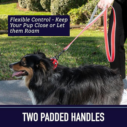 Leashboss Double Handle Dog Leash, 6 Ft Reflective Dog Leash with Two Padded Handles for Large Dogs or Medium Dogs That Pull (Black/Gray) - Dog Leash with Padded Handle - Two Handle Leash