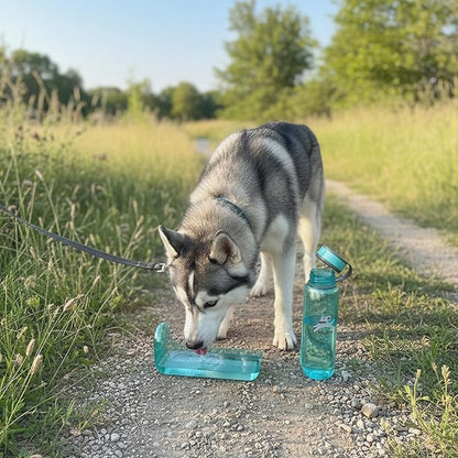OllyDog OllyBottle, Dog Water Bottle with Detachable Bowl, No Spill Travel Bottle for Dogs, Wide Drinking Cup, BPA-Free Tritan, Easy Clean, Convenient for Walking & Hiking (1L, Aqua Blue)
