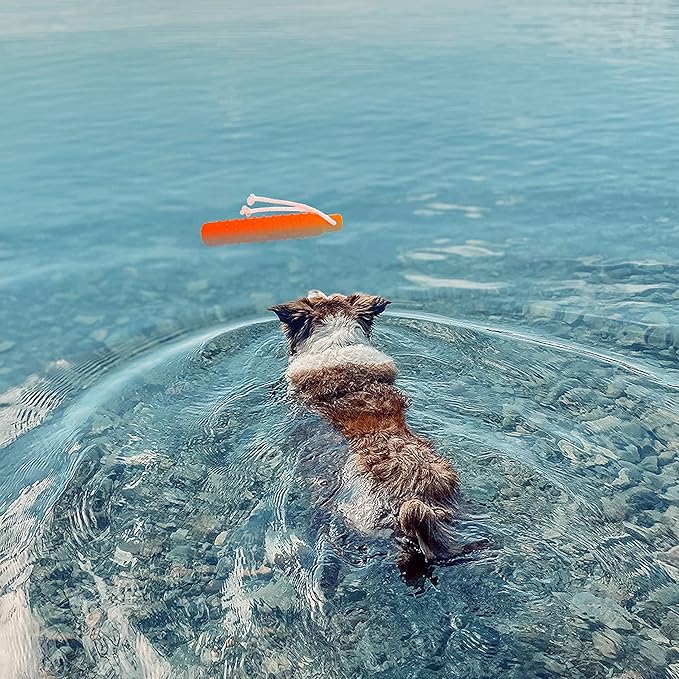 Dog Water Toy - Interactive Fetch Dog Toys Float on Water Pool for Training Retrieving Chasing Bumper Outdoor - 2 Pack Dog Toys with Rope for Small Medium Large Dog