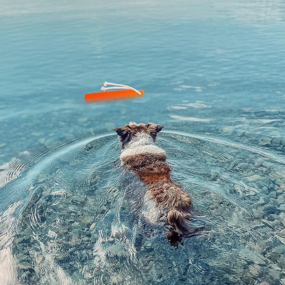 Dog Water Toy - Interactive Fetch Dog Toys Float on Water Pool for Training Retrieving Chasing Bumper Outdoor - 2 Pack Dog Toys with Rope for Small Medium Large Dog
