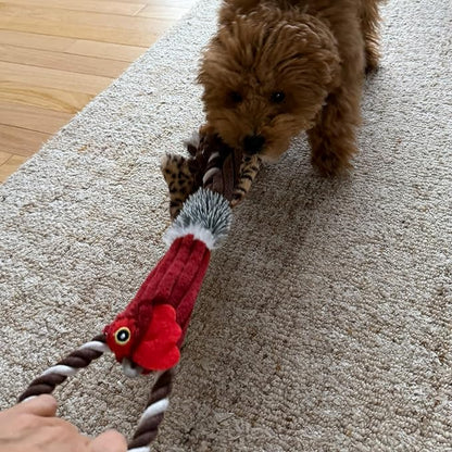SPOT Skinneeez Tugs Mini Duck Tug Dog Toy – 14" Stuffing-Free Plush Toy with Rope Handle & Squeaker – Durable Tug Toy for Small & Medium Dogs, Moderate Chewers, Assorted Styles