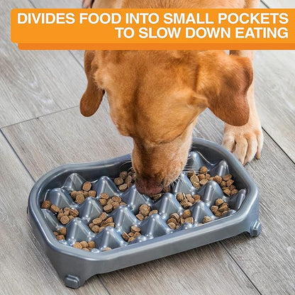 Neater Pet Brands Neater Slow Feeder Dog Bowls, Slows Down Fast Eaters to Help Digestion & Prevent Overeating, Non-Slip Dog Bowl, BPA-Free, Holds 6 Cups of Food for Medium to Large Breed Dogs or Puppy